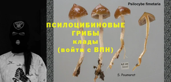 тгк Майский