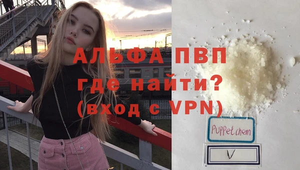 гашик Абаза