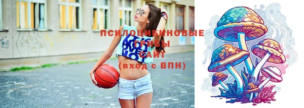 гашик Абаза