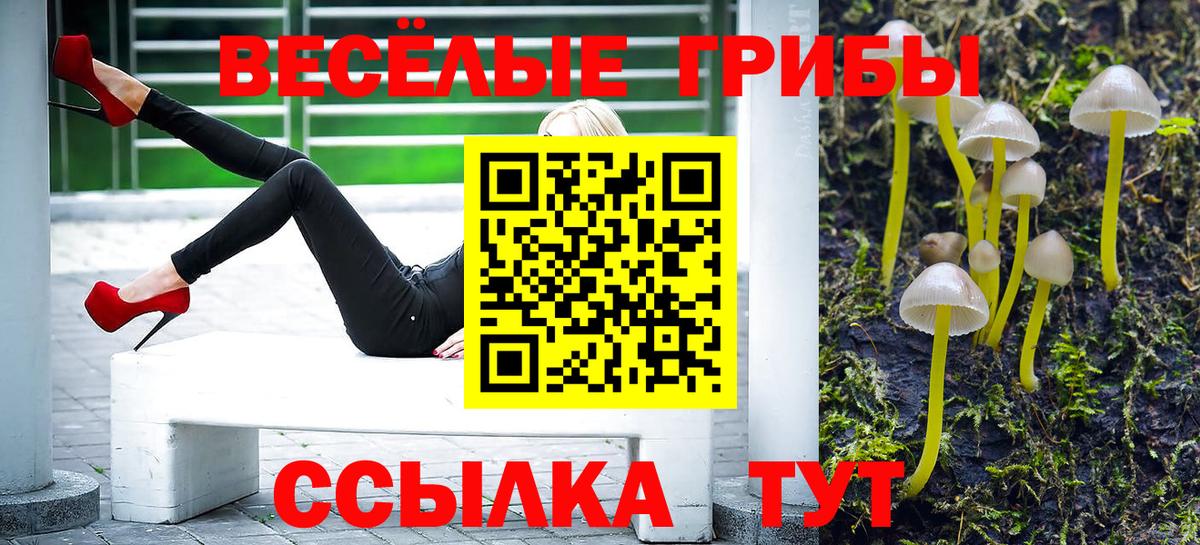 Псилоцибиновые грибы Magic Shrooms Воронеж