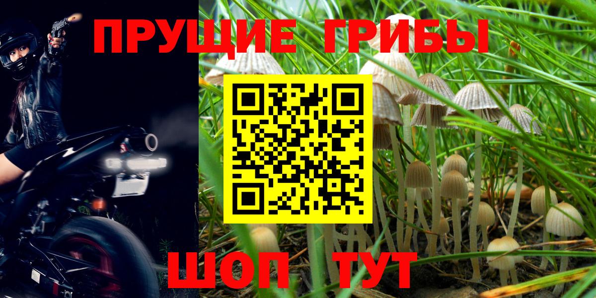 Воронеж  Псилоцибиновые грибы мицелий  Вход с VPN 